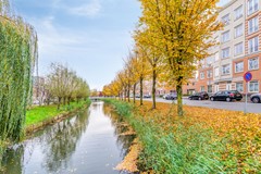 FREYJAPLANTSOEN 3-41.jpg